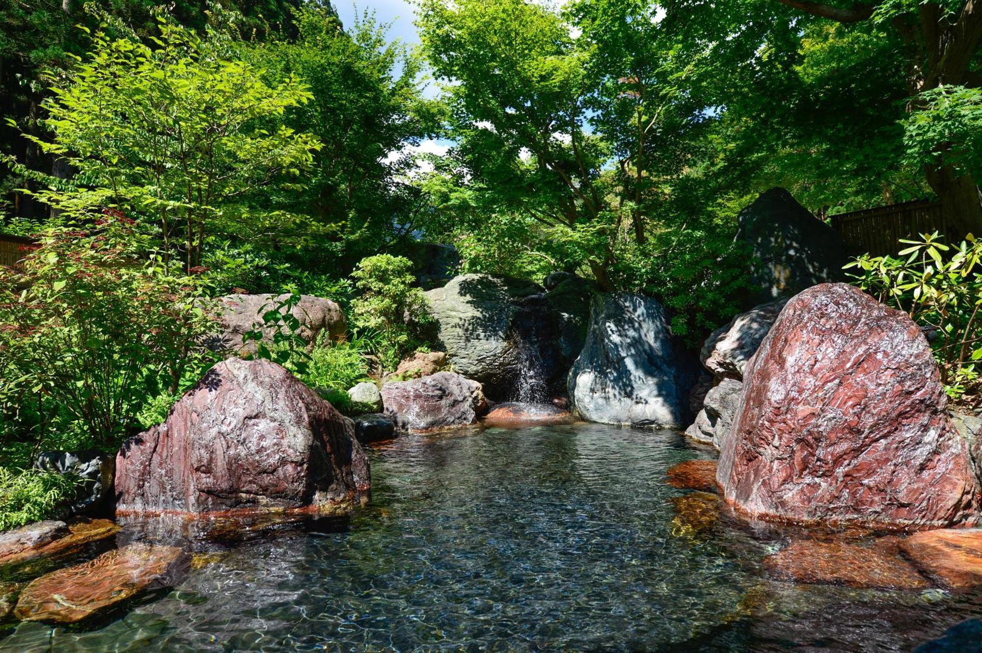 Отель Houshi Onsen Chojukan Минаками Экстерьер фото