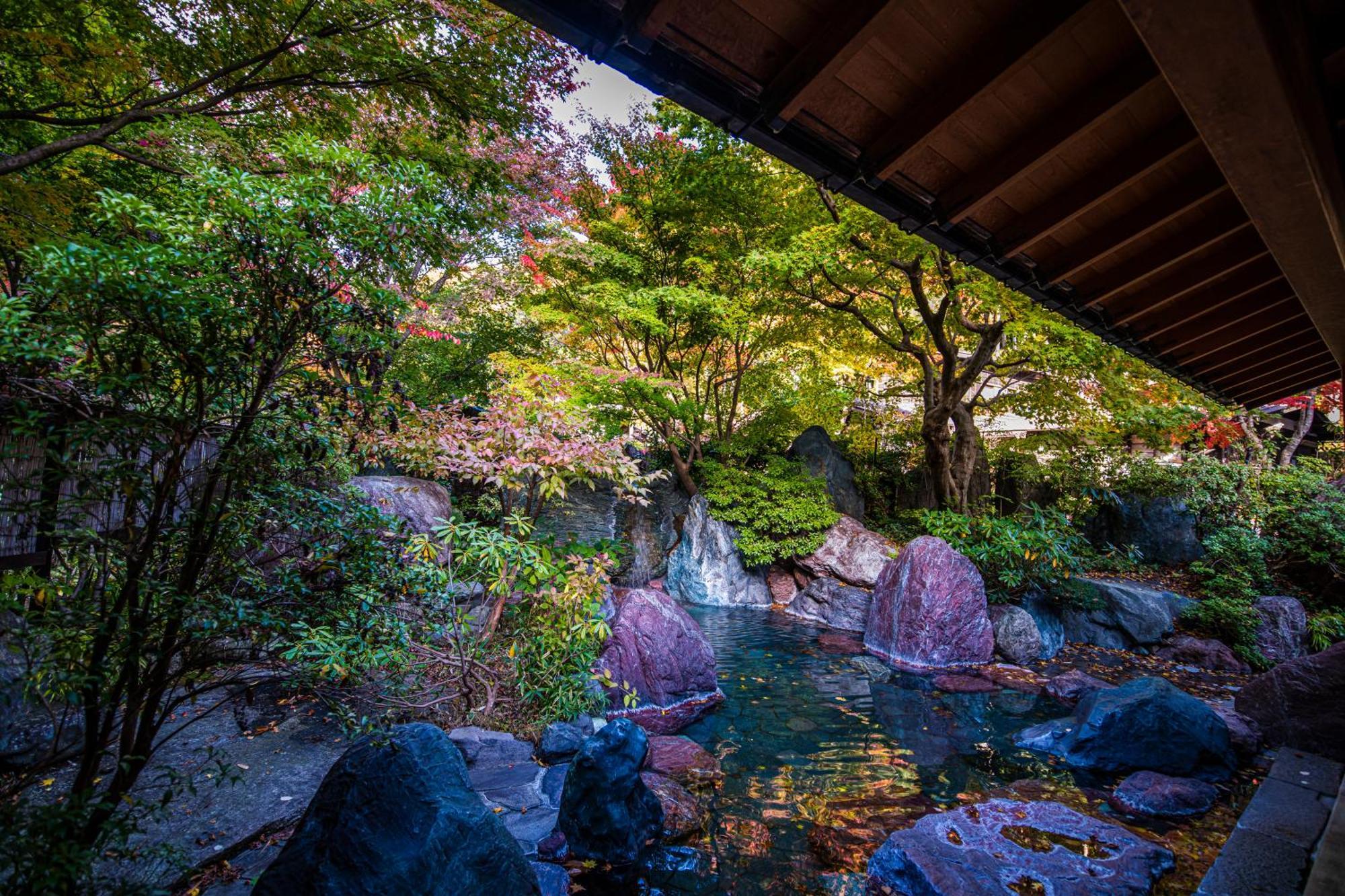 Отель Houshi Onsen Chojukan Минаками Экстерьер фото