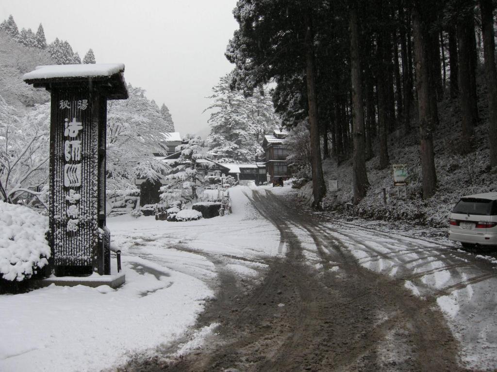 Отель Houshi Onsen Chojukan Минаками Экстерьер фото